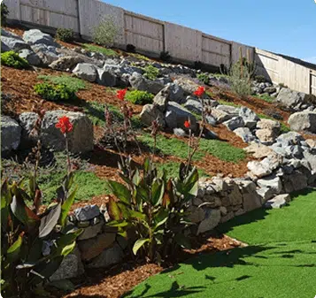 lawn aesthetics