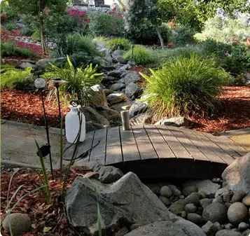 lawn design