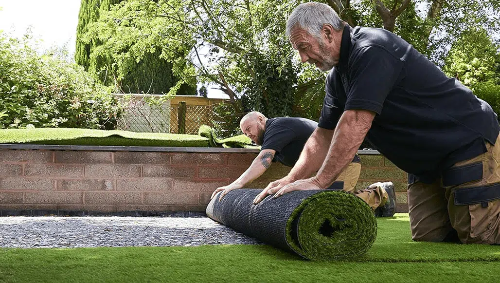 turf and grass
