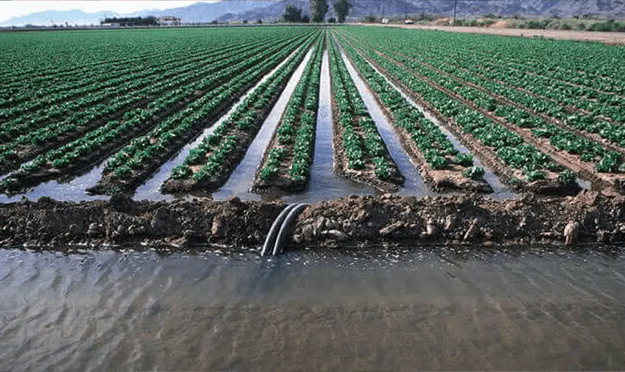 irrigation/drainage